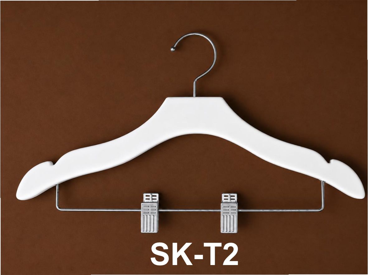 SK-T2.jpg